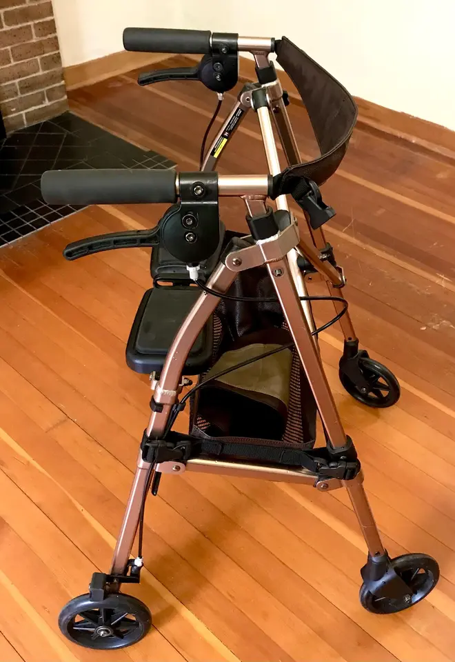 ROLLATOR 1.jpg