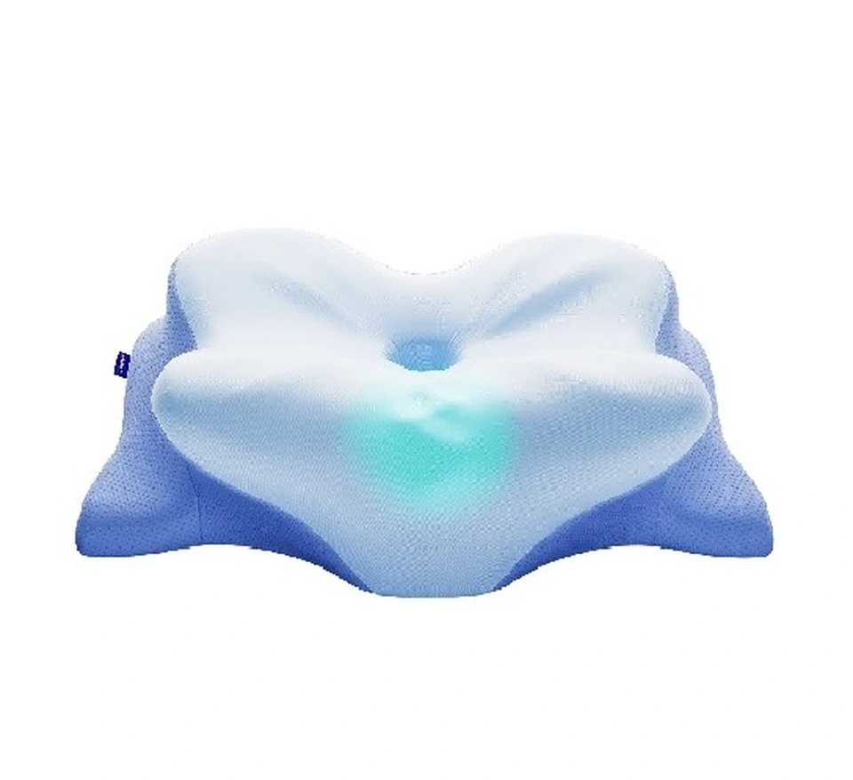 Derila Ergo Pillow.jpg